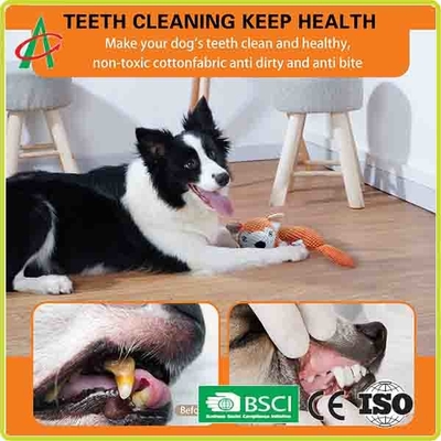 Đồ chơi sang trọng cho thú cưng 9,5 inch không thấm nước 4 nút thắt dây với tiếng kêu cót két