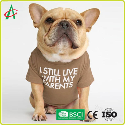 ODM hoàn toàn thủ công may áo sơ mi bông thú cưng với tên in